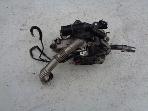 egr ventil na peugeot partner III, 9802194080